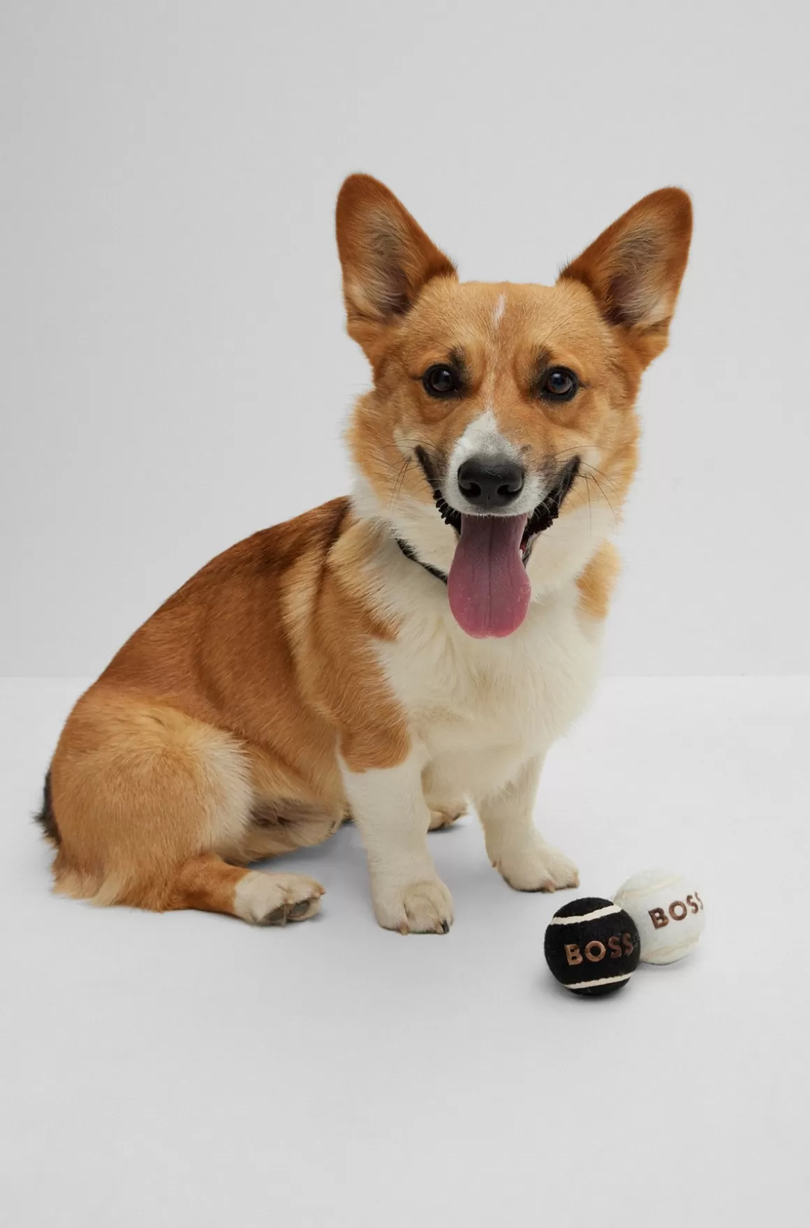 HUGO BOSS Boldsæt Til Hunde