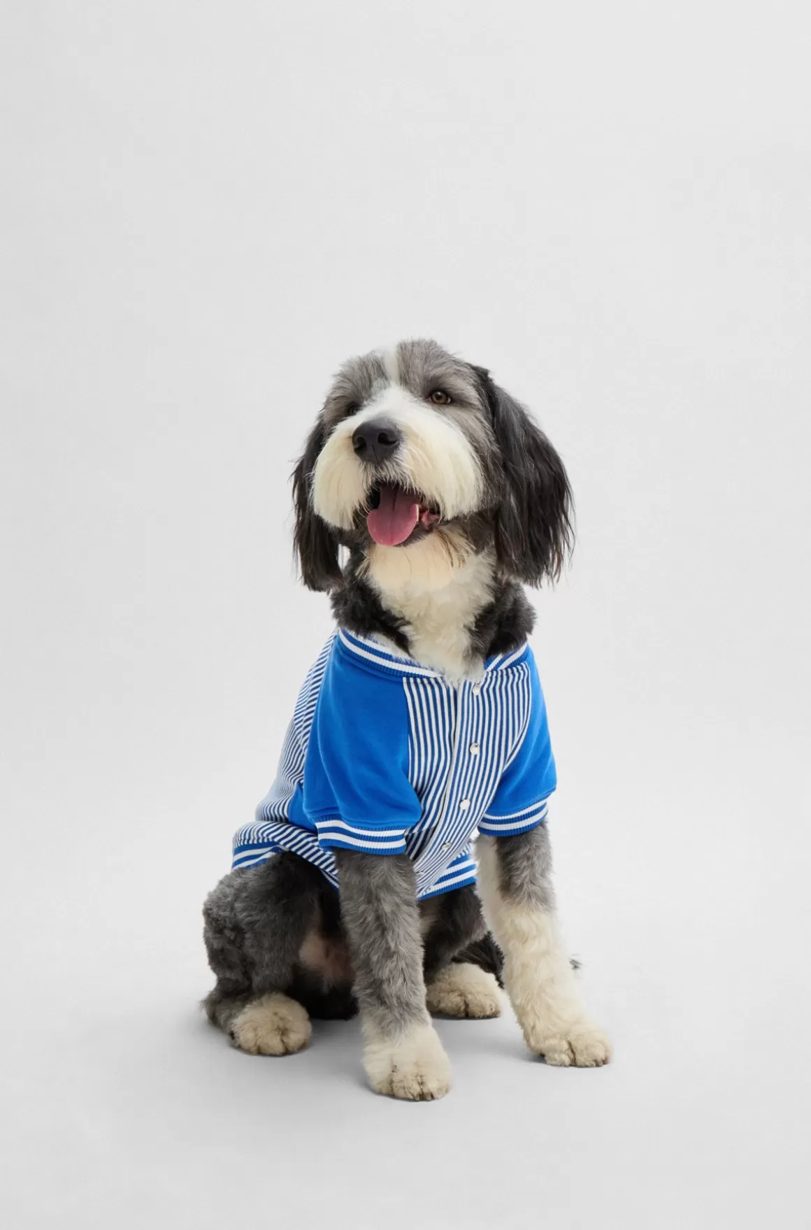 HUGO BOSS Bomberjakke Til Hund Med Broderet Logo