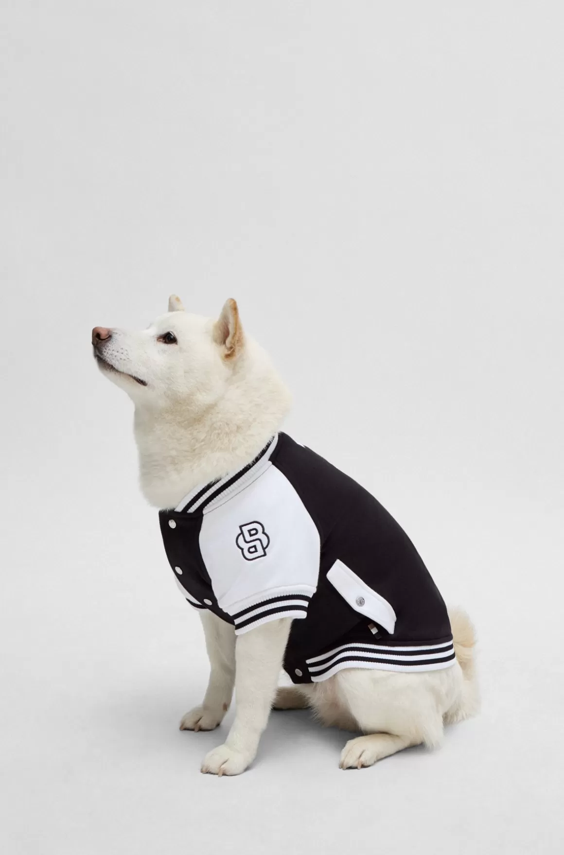HUGO BOSS Bomberjakke Til Hund Med Broderet Logo