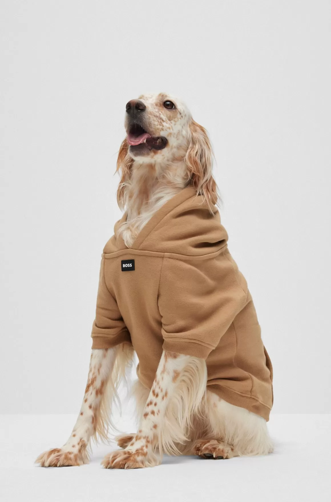 HUGO BOSS Hættetrøje Til Hunde I Bomuldsblanding Med Logo I Kontrastfarve