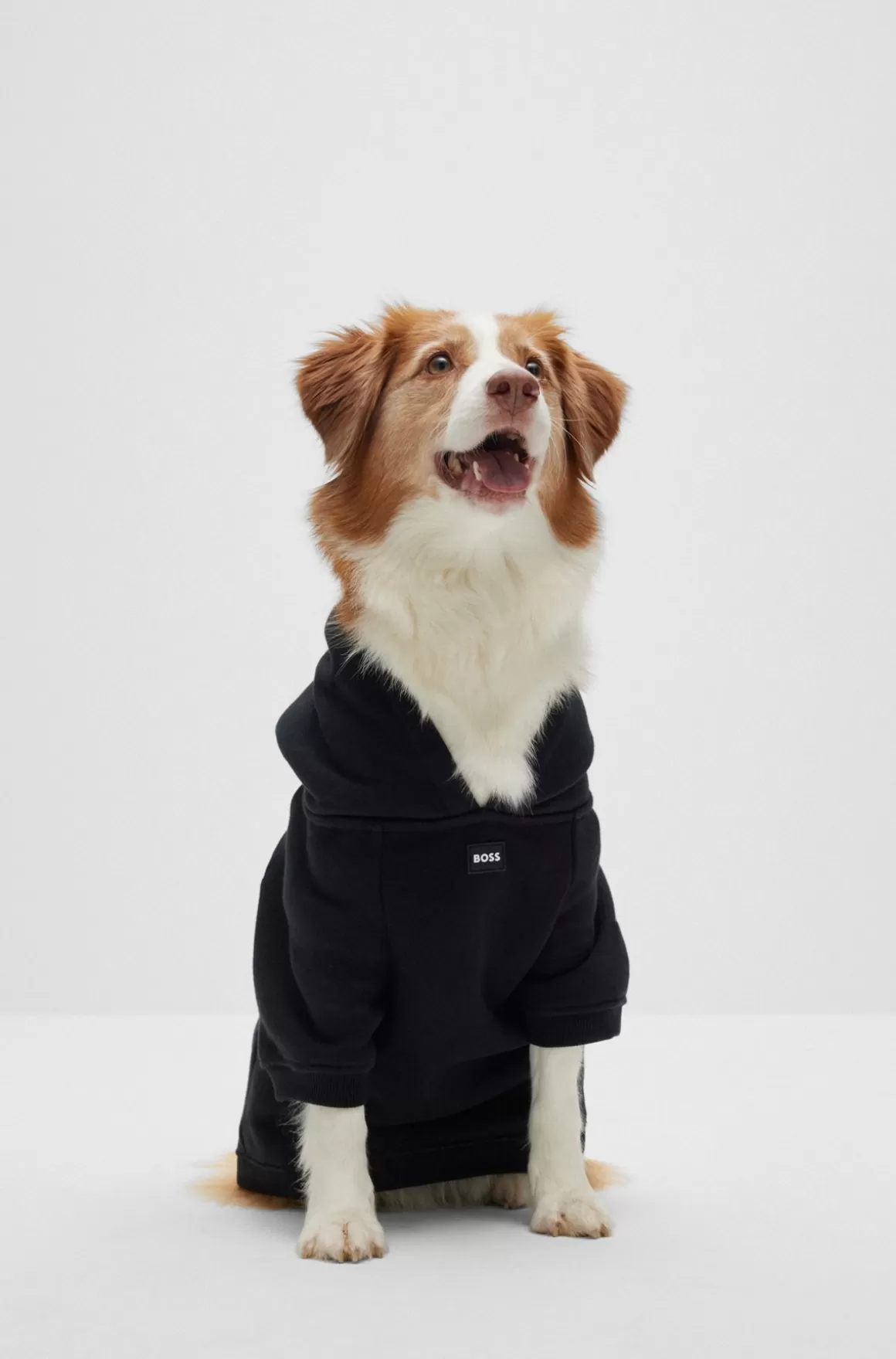 HUGO BOSS Hættetrøje Til Hunde I Bomuldsblanding Med Logo I Kontrastfarve