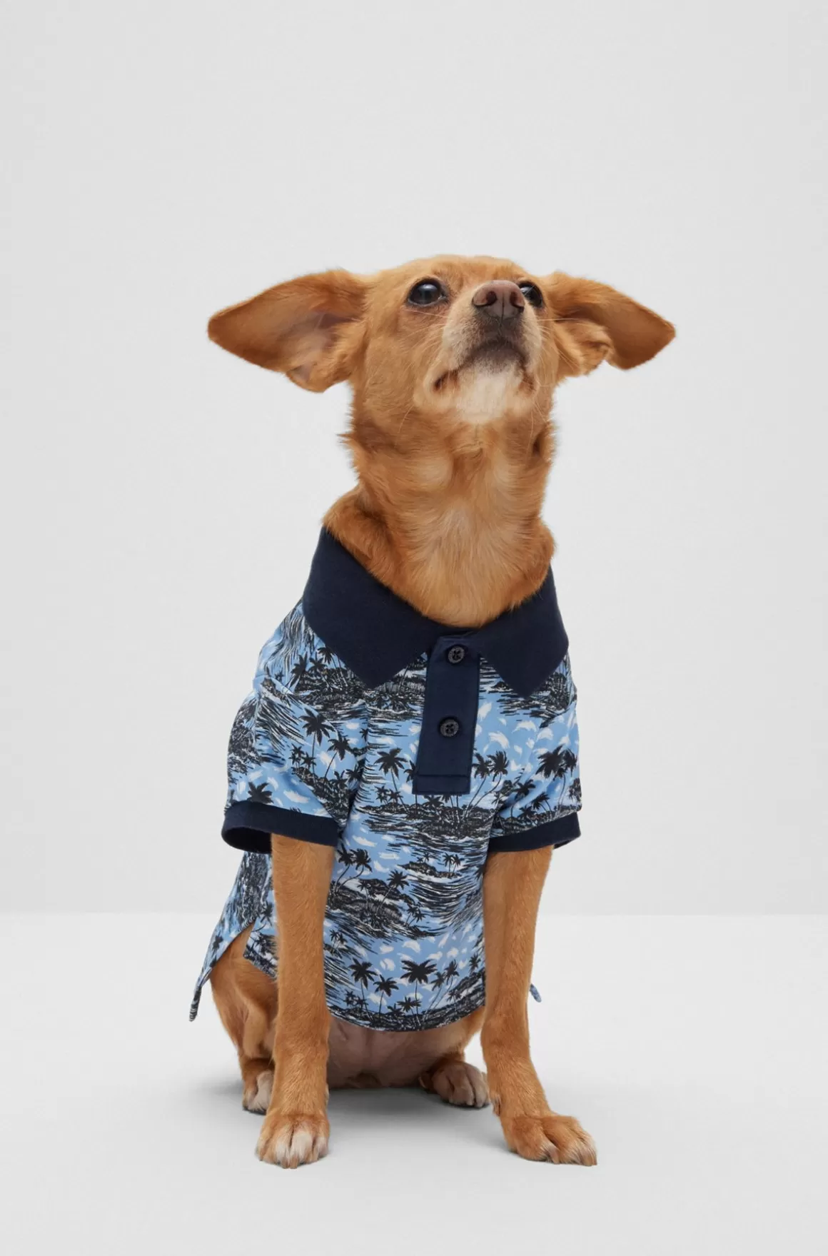 HUGO BOSS Hundepoloshirt I Bomuld Med Tryk Med Palmetræ