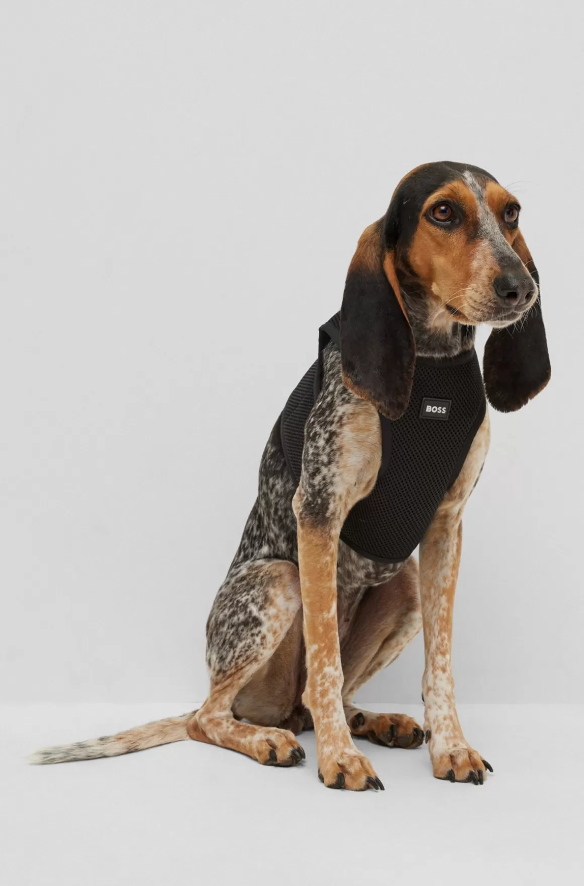 HUGO BOSS Hundesele I Netstof Med Ikonisk Stribe