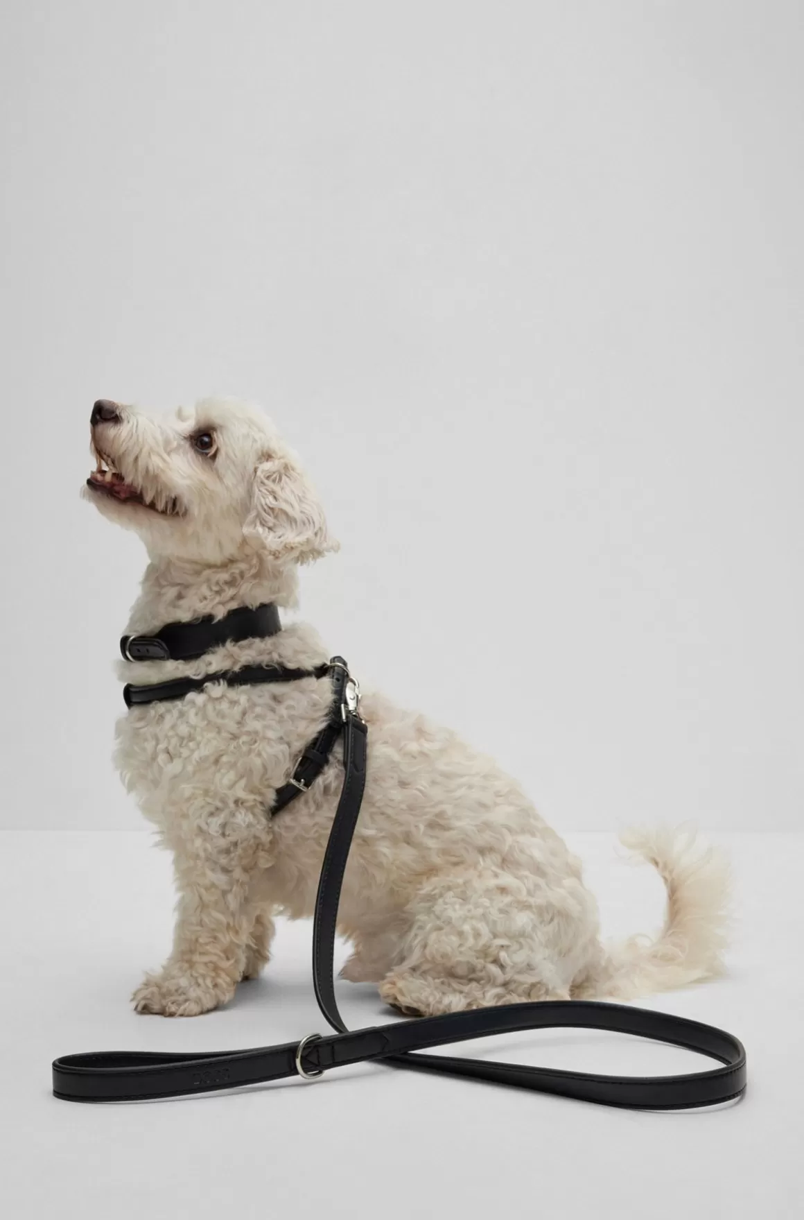 HUGO BOSS Hundesnor I Genbrugt Læder