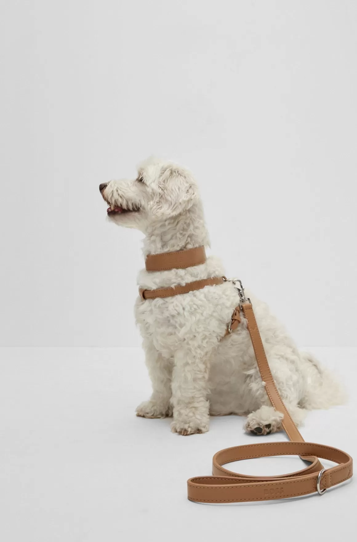 HUGO BOSS Hundesnor I Genbrugt Læder