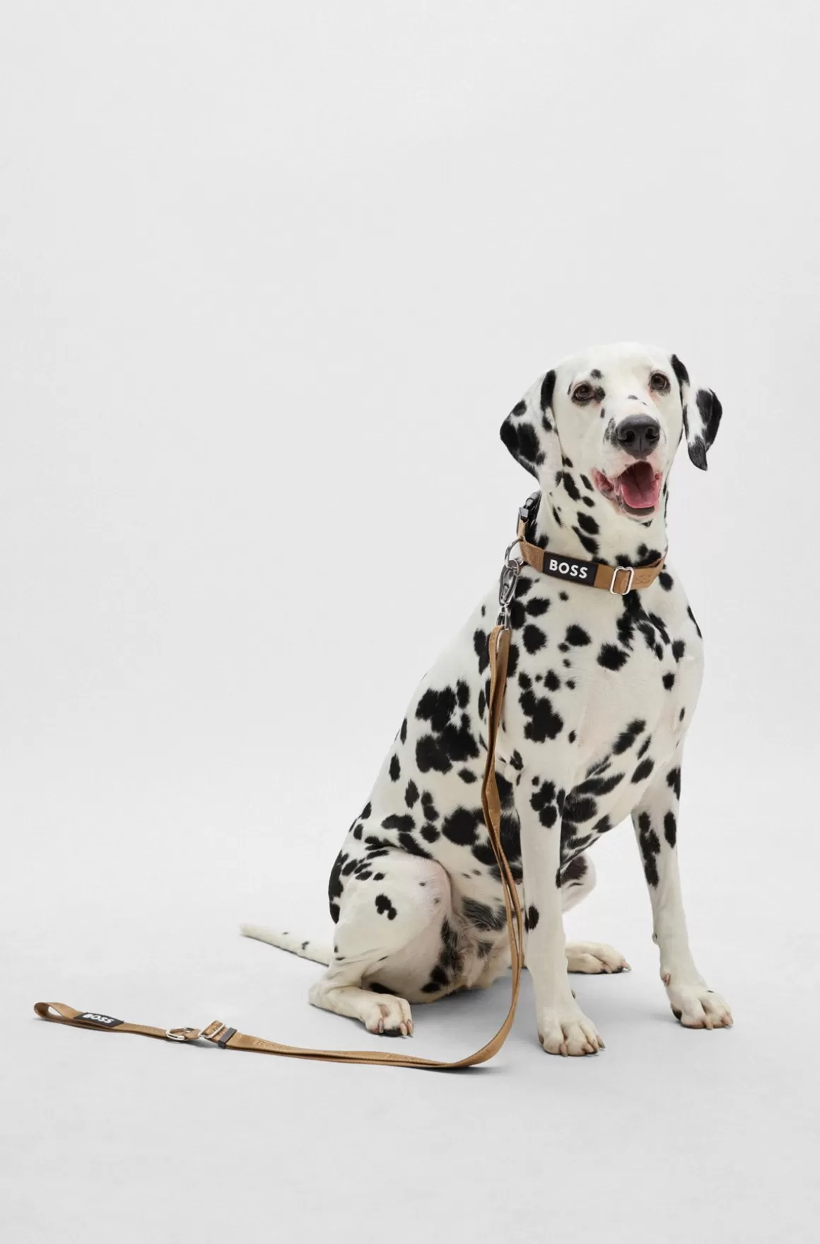 HUGO BOSS Hundesnor Pyntet Med Jacquard-logo