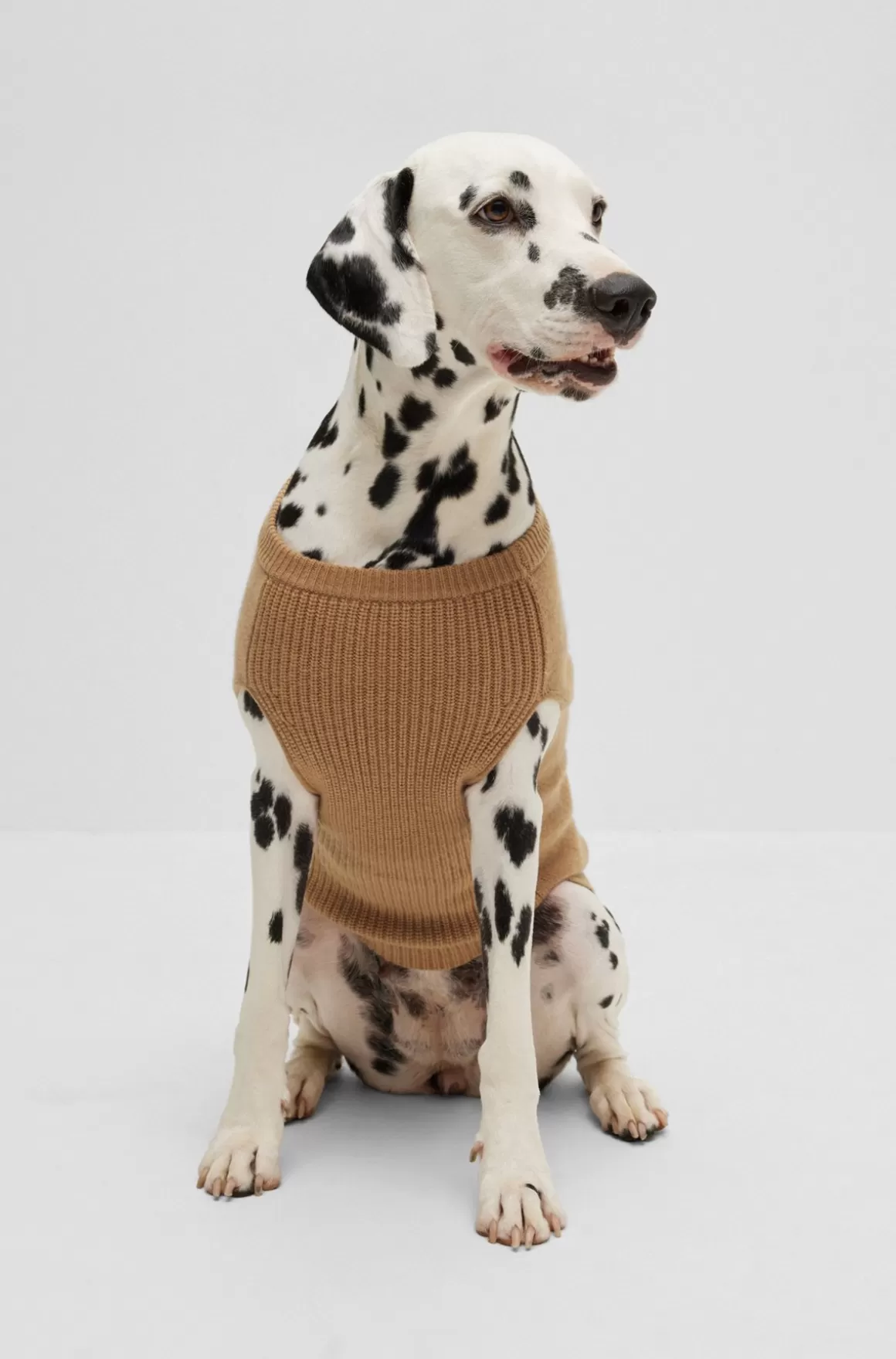 HUGO BOSS Hundesweater I Uld Og Cashmere
