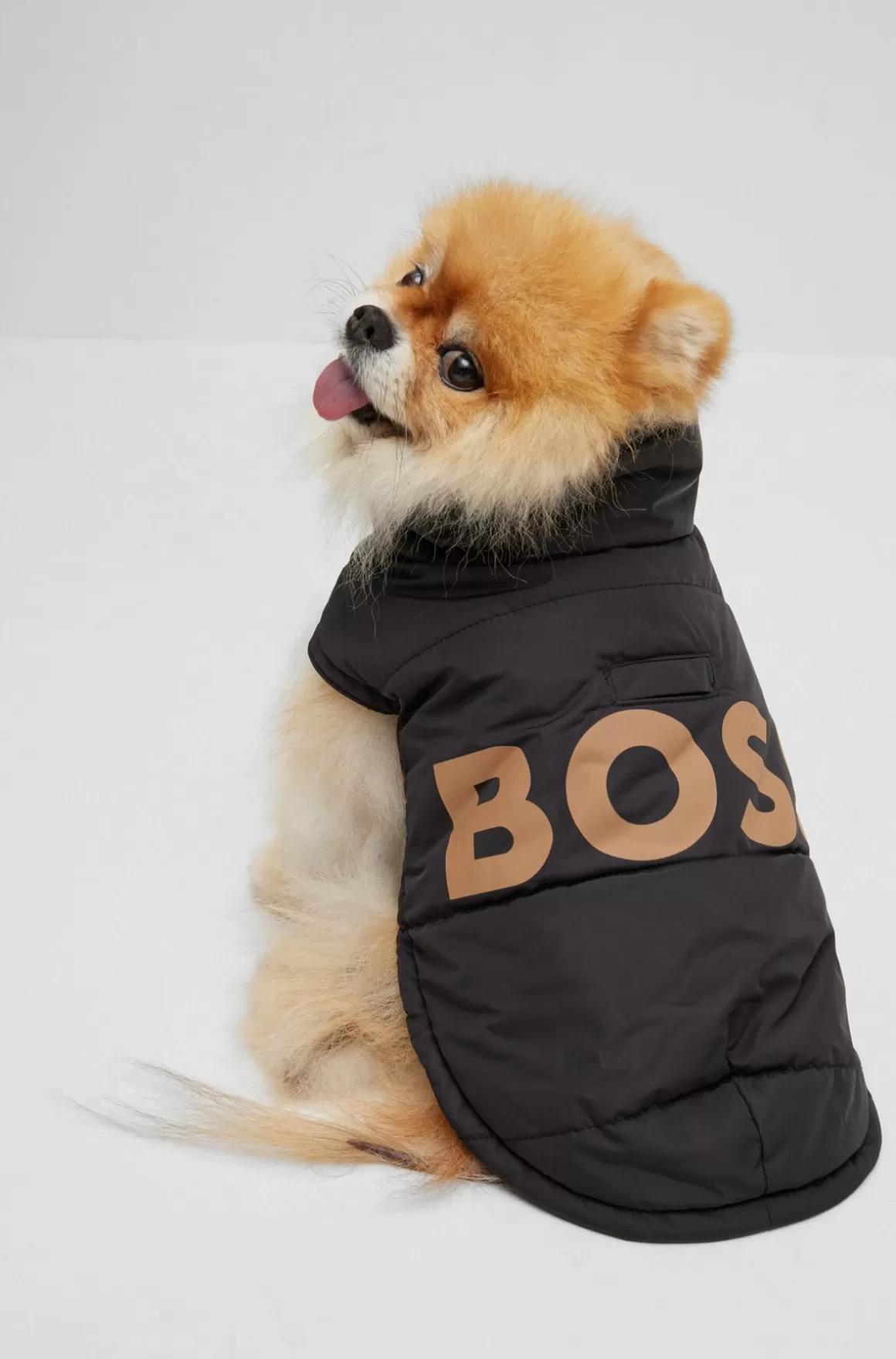 HUGO BOSS Polstret Jakke Til Hunde Med Kontrastlogo