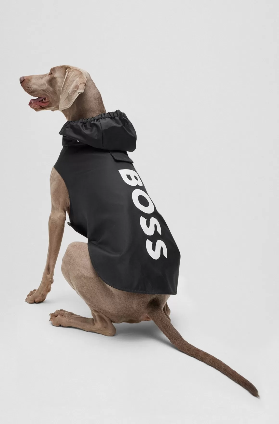 HUGO BOSS Regnfrakke Til Hunde I Vandtæt Materiale Med Logo I Kontrastfarve