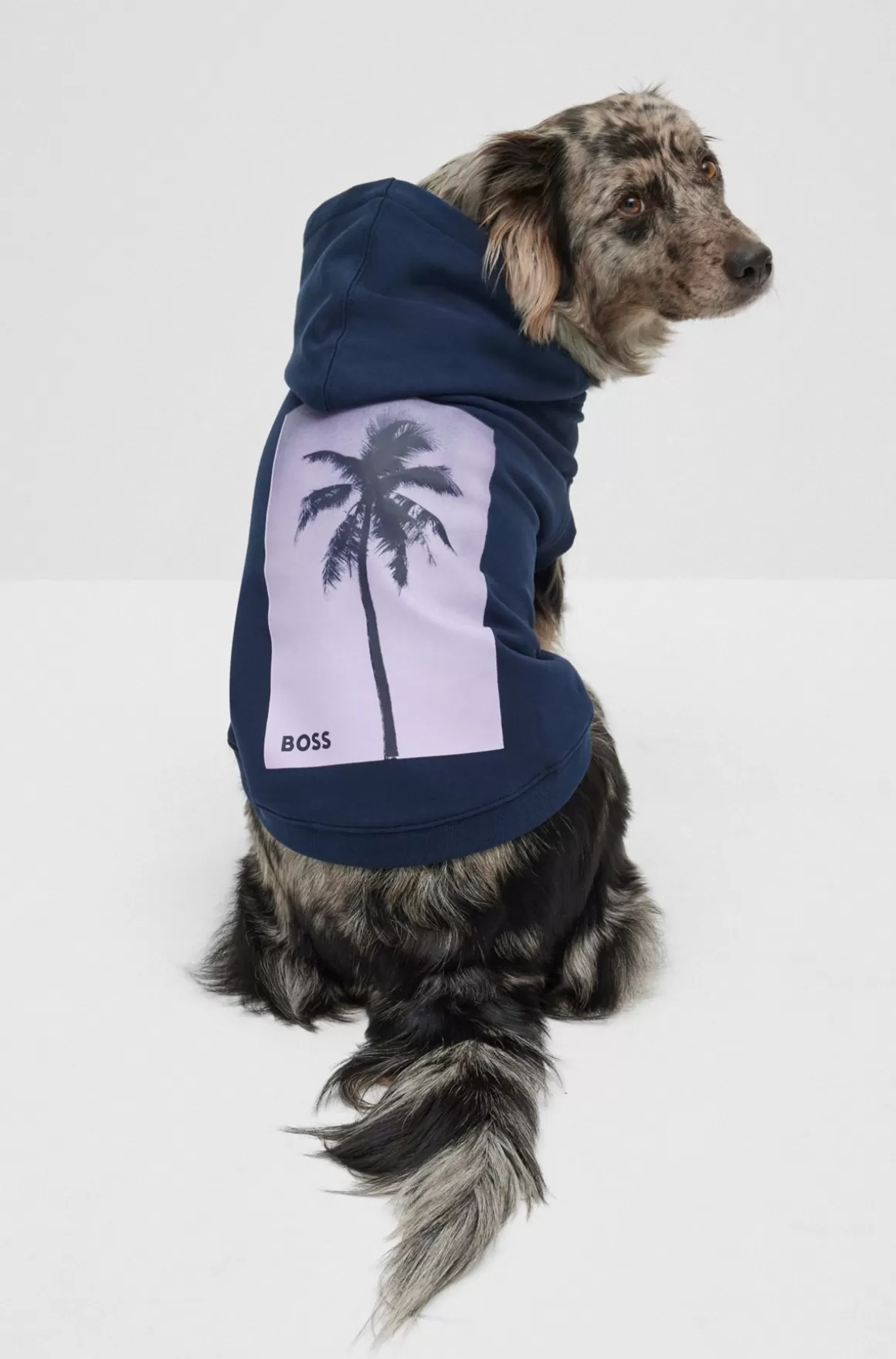 HUGO BOSS Strandhættetrøje I Bomuld Til Hunde Med Tryk Af Palmetræ