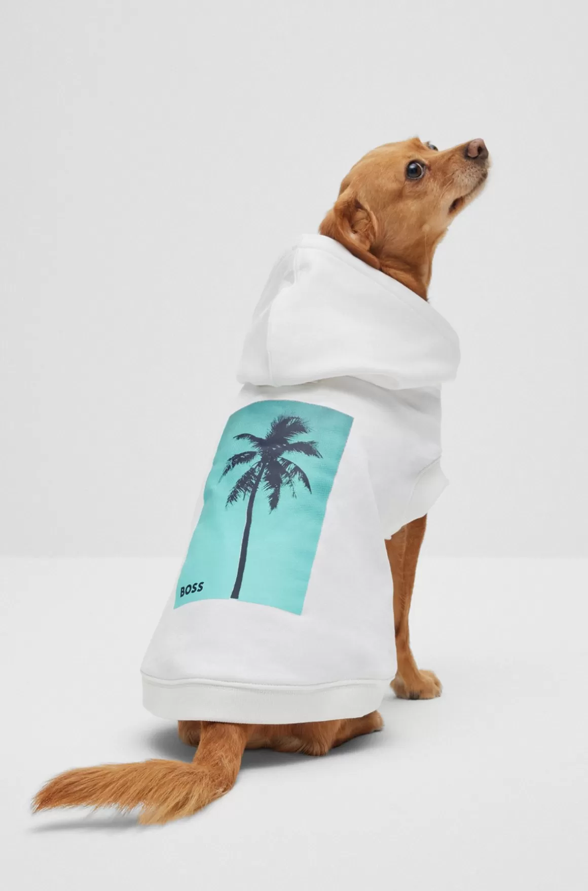 HUGO BOSS Strandhættetrøje I Bomuld Til Hunde Med Tryk Af Palmetræ