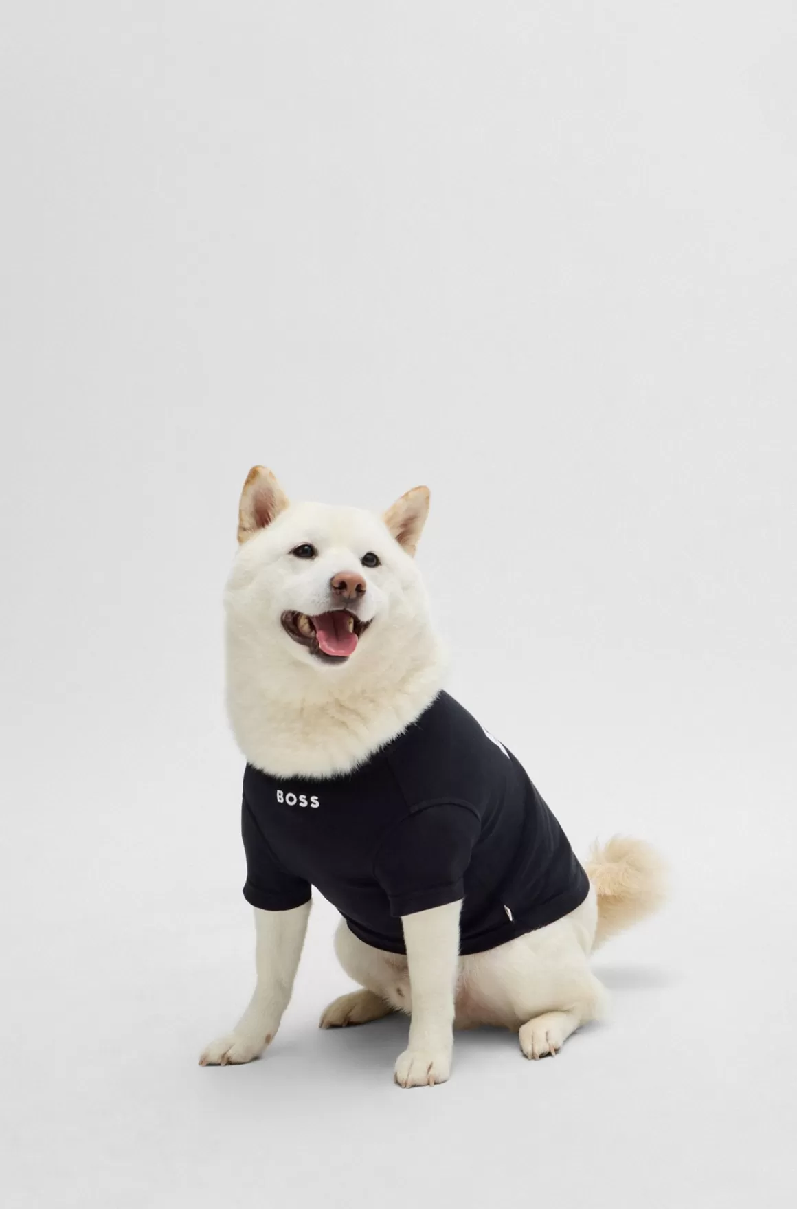 HUGO BOSS T-shirt Til Hund I Bomuld Med Logoprint