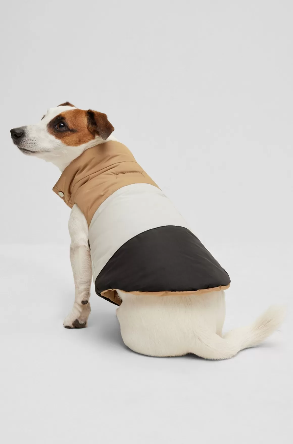 HUGO BOSS Vendbar Dunjakke Til Hunde